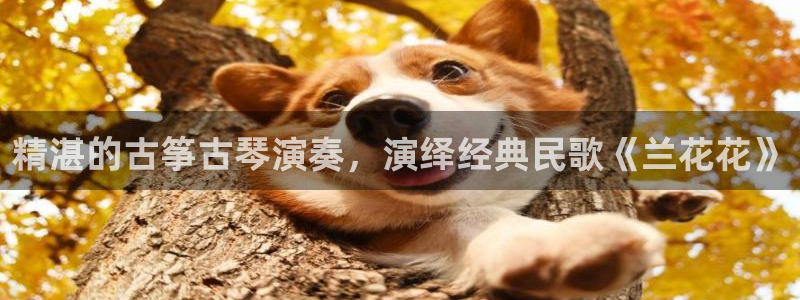 凯发官方在线