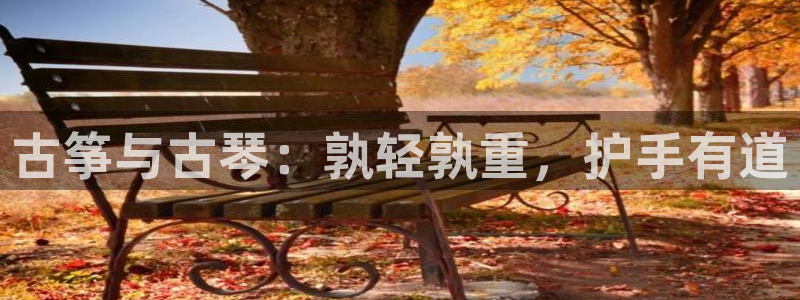 凯发娱网址是什么
