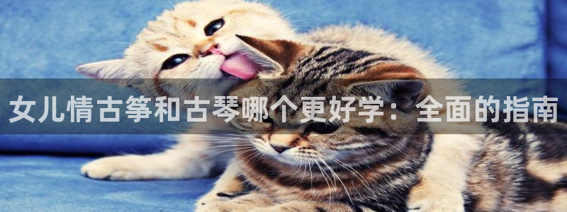 凯发娱乐官方网站