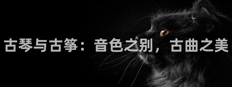 凯发网官网
