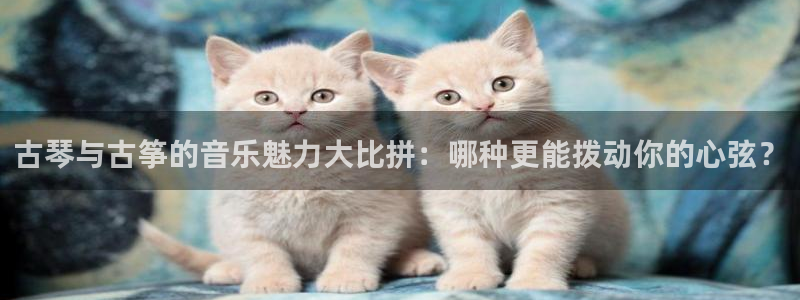 凯发国际娱乐官网k8