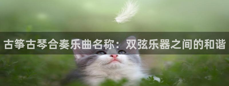 凯发k8555|手机版