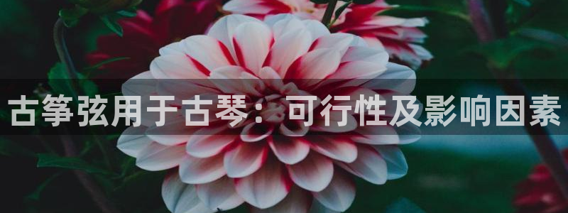 凯发k8旗舰厅yue来就送38