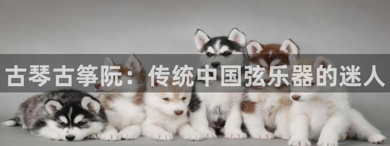 凯发k8娱乐官网手机端中心