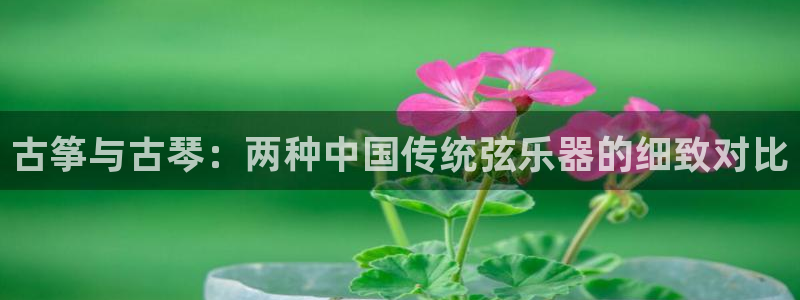 凯发国际可靠送38元