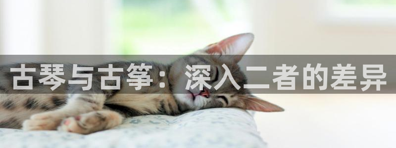 凯发网娱乐官网国际