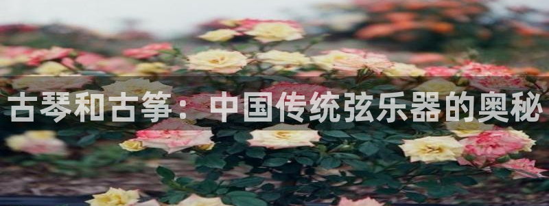 凯发k8官方
