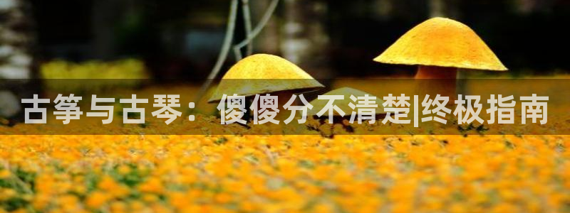 凯发国际网站