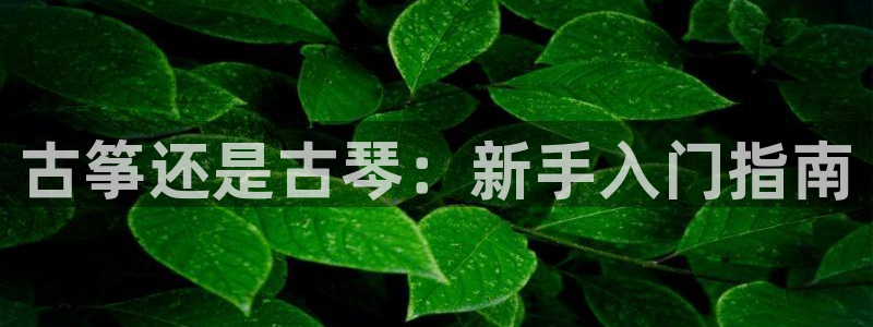 凯发k8娱乐平台