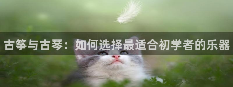 凯发k8旗舰厅app下载可靠送38元