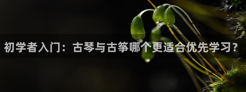 凯发旗舰