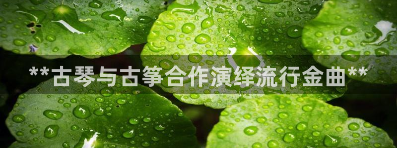 凯发k8全球公开