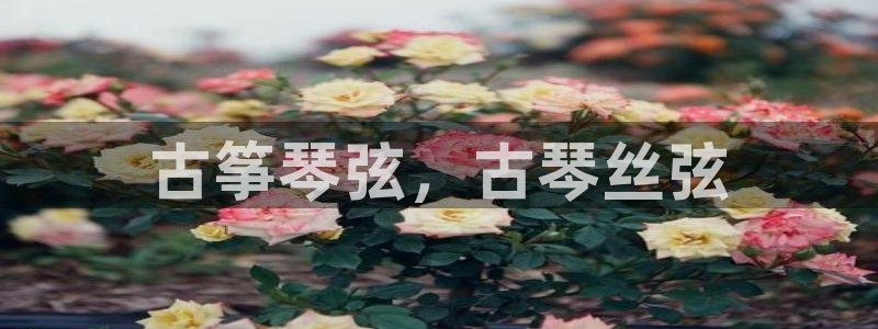 凯发网址直营