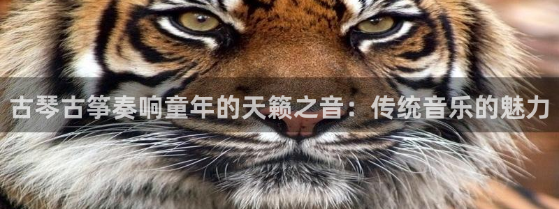 k8凯发国际首页