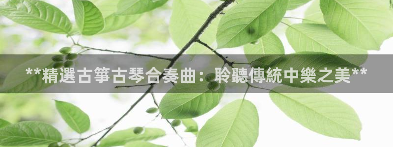 凯发国际官网下载