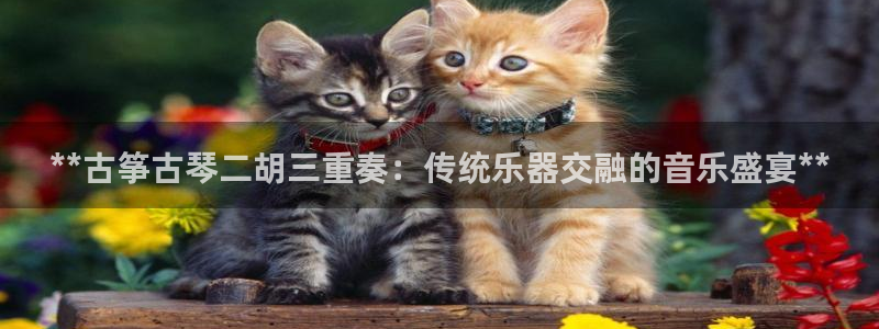 凯发网娱乐官网国际