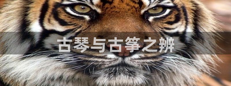 凯发娱网址是什么