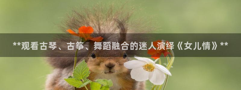 凯发官网手机app