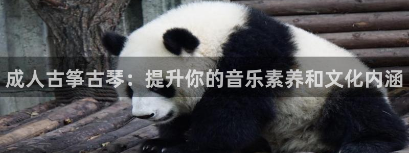 凯发k8娱乐平台下载