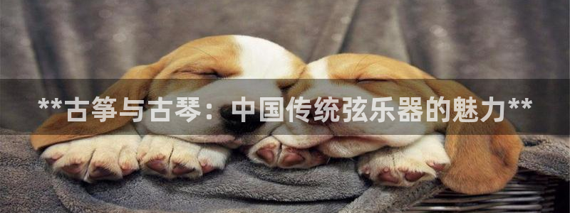 凯发a600丶cc官网首页