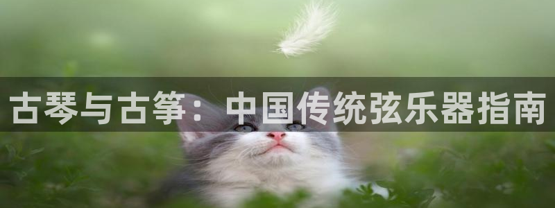 凯发k8娱乐网址多少
