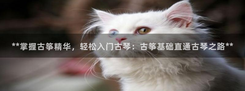 凯发k8娱乐官方版fxzls -安卓3.5
