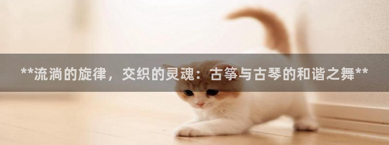 凯发app官网