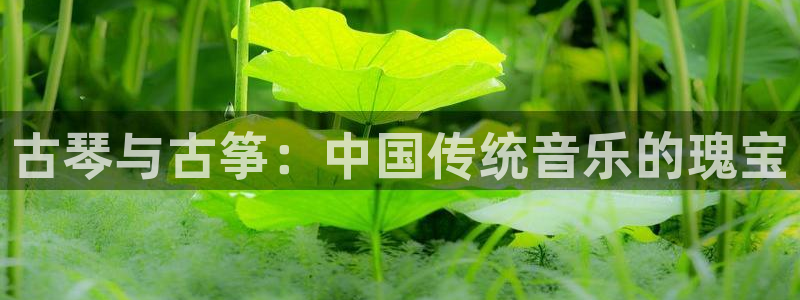 凯发k8旗舰厅app下载可靠送38元
