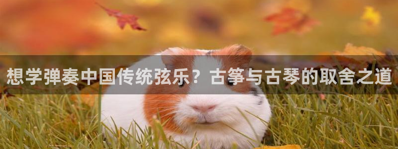 凯发k8旗舰厅手机app下载