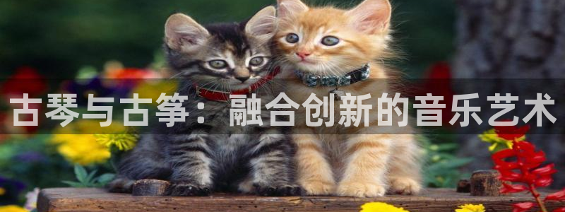 凯发k8国际真人娱乐旗舰厅