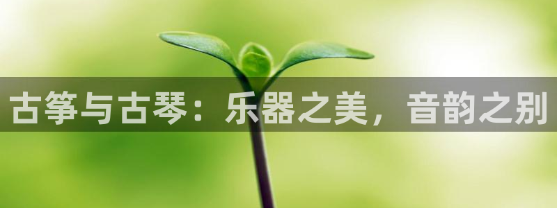 凯发官网地址