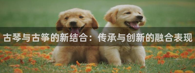 凯发k8娱乐旗舰厅