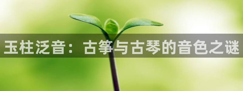 凯发旗舰厅网站