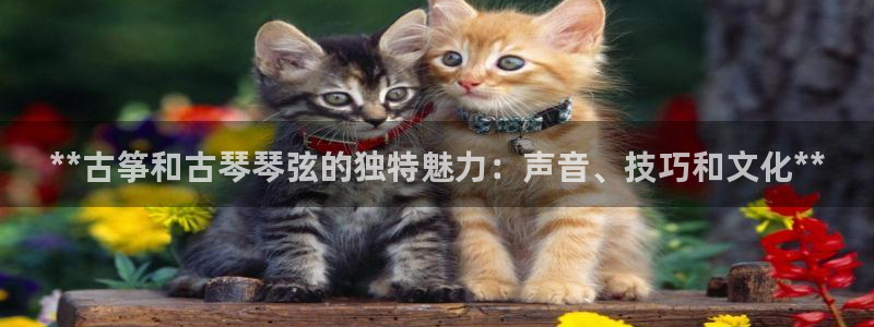 凯发k8娱乐注册登录