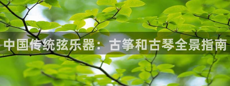 凯发登录网址