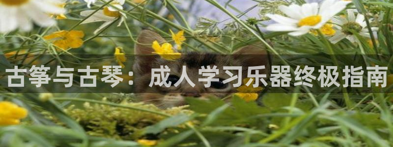 凯发k8网页登录