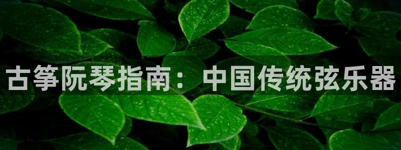 凯发k8娱乐平台能提现吗