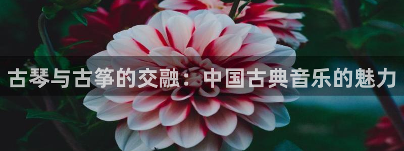 凯发国际网站官网