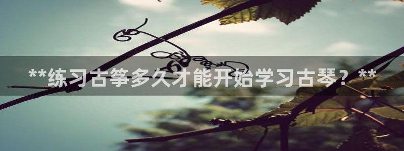 凯发k8国际娱乐版