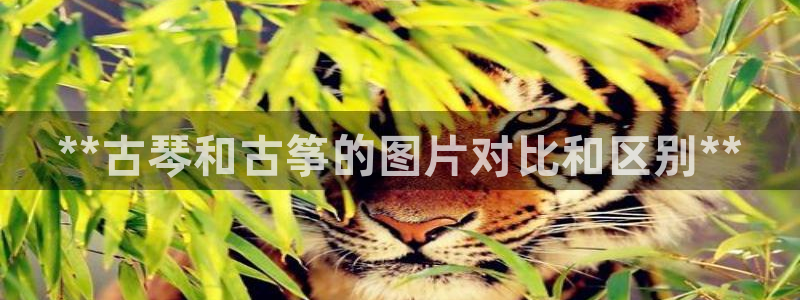 凯发官方手机app