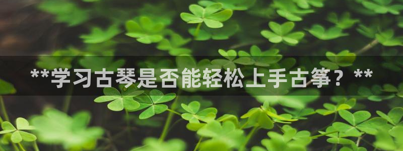 凯发娱网址是什么