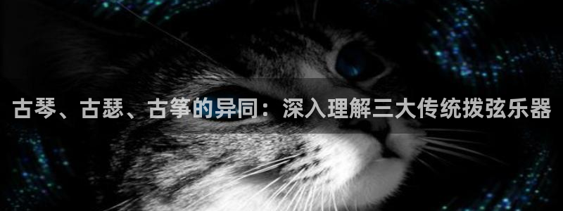 凯发网官网