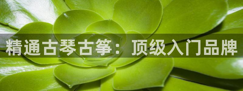凯发官网地址