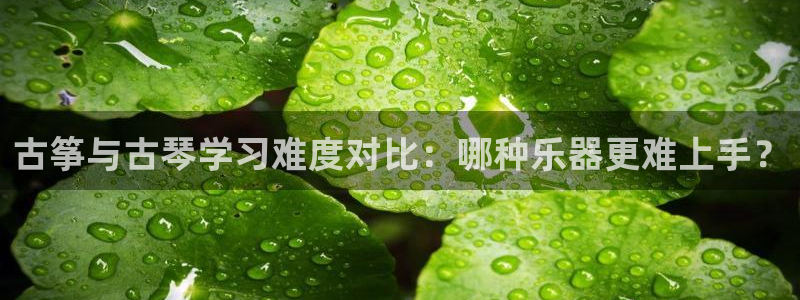 凯发k8官方网娱乐官方