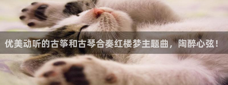 凯发k8娱乐官网最新版本