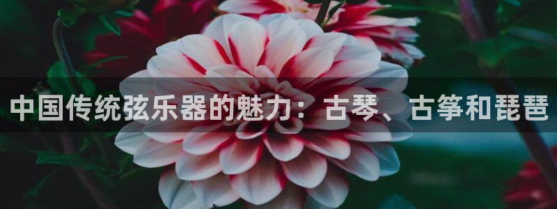 凯发国际平台app