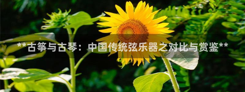 凯发k8555|手机版