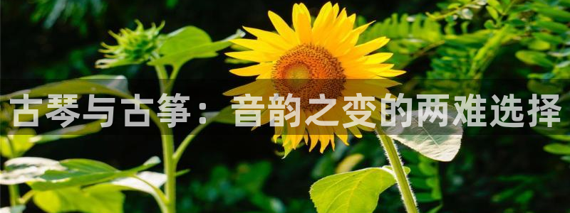 凯发线上官方网站下载网址