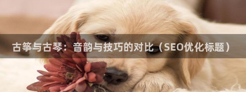 凯发k8网站是多少