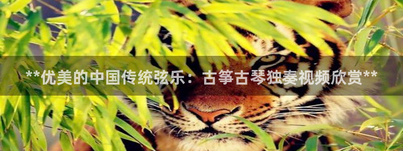 凯发k8555|手机版